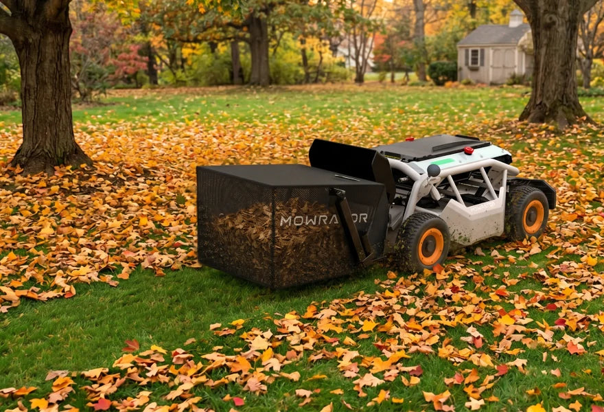 Nettoyage des feuilles